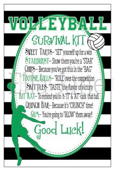 volleyball rules poster with green and black stripes on the bottom, white lettering that reads volleyball survival kit