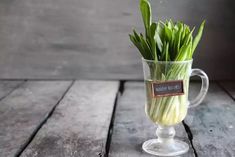 a glass mug filled with green onions sitting on top of a wooden table next to a sign