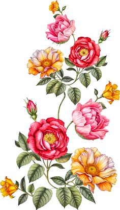 an image of flowers that are painted in watercolor