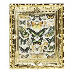 a gold frame with many different butterflies on it