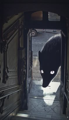 a black cat with glowing eyes is seen through an open door to another room in the house