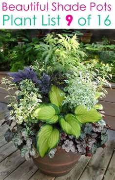 a potted plant sitting on top of a wooden table next to other plants and flowers