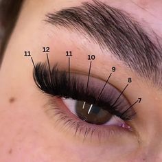 D Curl Lash Extensions Mapping, 3d Lash Extensions, Best Lash Extensions