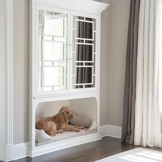 a brown dog laying on top of a white bed in a living room next to a window