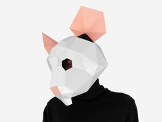 a person wearing a mask with an animal's head on top of it,