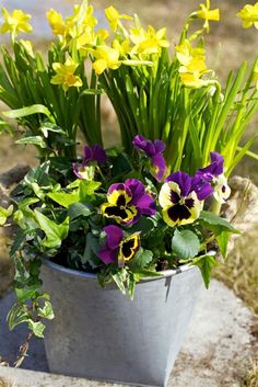 purple and yellow flowers are in a bucket