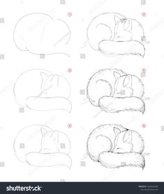 how to draw a sleeping fox step by step for beginners stock photo royalty illustration