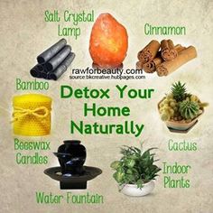 Feng Shui Dicas, Detox Your Home, Zen Room, Feng Shui Tips, Design Seeds, Yoga Room