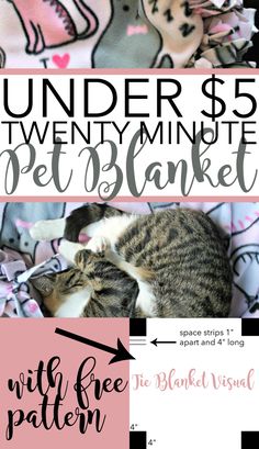 a cat sleeping on top of a bed under $ 5 twenty minute pet blanket with free pattern