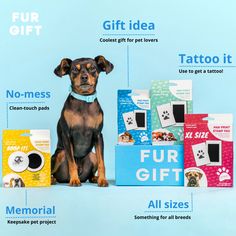 a small dog sitting next to several different types of pet products on a blue background