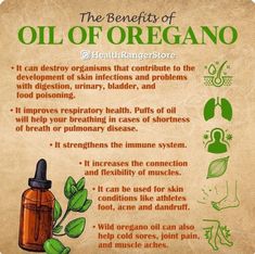 Health Benefits Of Oregano Oil, Oil Of Oregano Benefits How To Use, Oil Of Oregano Benefits, Lung Support, Oil Of Oregano, Oregano Oil Benefits, Oregano Essential Oil, Essential Oils Herbs, Oregano Oil