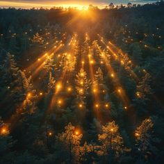 the sun shines brightly through the trees in this aerial photo taken by an aerial photographer