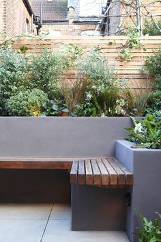 a wooden bench sitting in the middle of a garden next to a wall filled with plants