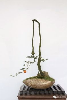 a bonsai tree in a bowl on top of a wooden stand with an orange ball