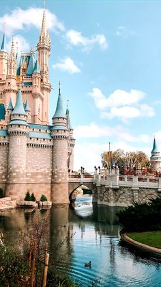 the castle is next to a river and bridge