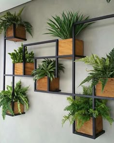 a wall mounted planter filled with lots of green plants