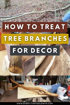 how to treat tree branches for decor in your backyard or yard with these easy tips