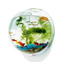 an aquarium filled with fish and plants on top of a white table next to a wall