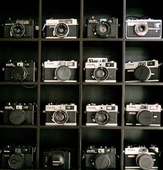 many cameras are lined up on shelves in a display case, with one camera facing the other