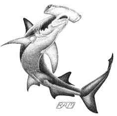 a drawing of a shark with its mouth open