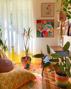 there are many plants in the living room