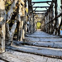 an old wooden walkway surrounded by trees