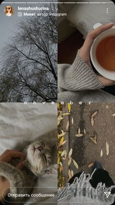 a person is holding a cup of tea and looking at the camera with an owl on their lap