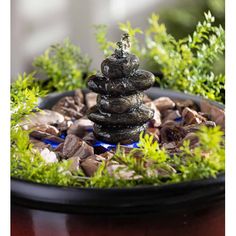 a potted plant with rocks in it and some plants growing out of the top