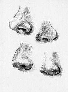 four different angles of the nose