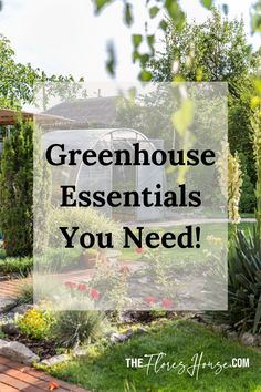 greenhouse supplies, supplies for greenhouse, small greenhouse supplies, ikea greenhouse supplies, indoor greenhouse supplies Greenhouse Plants Best, Add On Greenhouse, Greenhouse Placement In Yard, Setting Up Greenhouse, What To Put In A Greenhouse, Greenhouse Setup Inside, Greenhouse Beginner, Gardening Must Haves, How To Set Up A Greenhouse