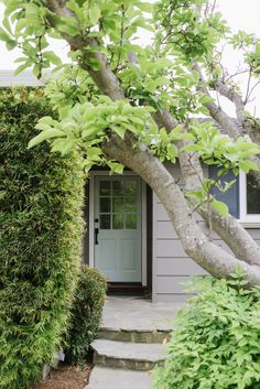 Exterior house painted gray with dark gray shutters and robins egg blue door. Stone path and landscaping. Paint color selection by Bainbridge Island interior design firm Maggie Stephens Interiors. How to choose paint colors for your house. Paint color consultation, increase curb appeal. Best gray for house exterior. Paint house gray. Blue door with gray siding. Make front door inviting. How to style front door. PNW style Dark Gray Shutters, Charcoal Shutters, Gray Shutters, Island Interior Design, Gray Siding, Modern Siding, Island Interior, Increase Curb Appeal, Grey Siding