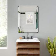 a bathroom with a sink and mirror next to a potted plant on the floor