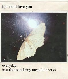 a white butterfly sitting on top of a piece of paper with the words, but i did love you everyday in a thousand tiny unspoken ways