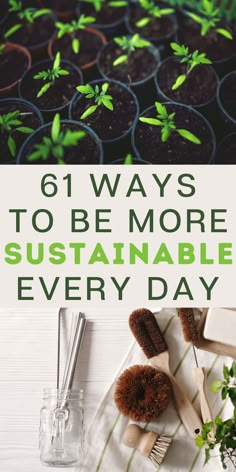 plants and gardening utensils with the title 6 ways to be more sustainable every day