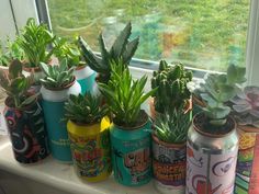 there are many different kinds of plants in the cans on the window sill,