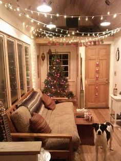 a dog standing in front of a couch with christmas lights on the ceiling above it