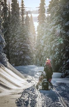 a person riding a snowmobile on a snowy road in the woods with pine trees