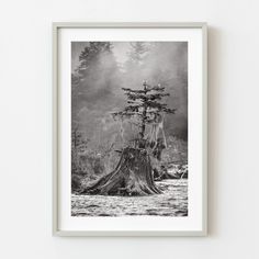 a black and white photo of a tree stump in the water with fog behind it