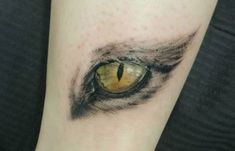 a close up of a cat's eye on the arm