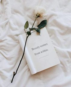 a book with a flower on it laying on a white sheet that says beauty comes from within