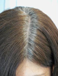 Going Gray, Salon Hair, The Plan, Tips Tricks, The Gray, Phoenix Az, Touch Up, Glow Up?