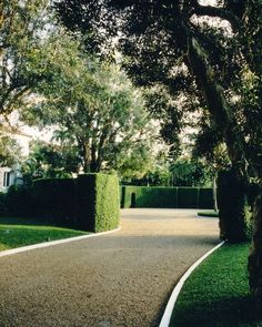 an empty road in the middle of a lush green park