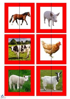 four squares with pictures of animals and farm animals