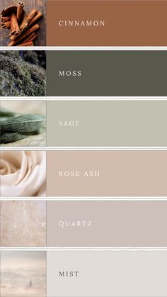 A color palette featuring soft earth tones: brown, moss green, sage green, muted rose, blush, and grey. These harmonious and natural hues create a soothing and elegant combination, perfect for branding, design projects, or weddings. Earthy Wedding Pallet, Muted Earth Tones Colour Palettes, Earthly Colour Palette, Natural Colours Palette, Water Tones Colour Palettes, Moss Green Bedroom Colour Palettes, Earth Colour Palette Nature, Apartment Colour Palettes, Oak Colour Palette