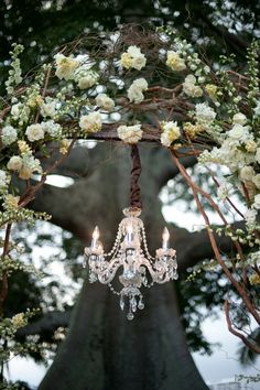 a chandelier hanging from a tree with white flowers