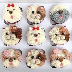 the cupcakes are decorated like dogs and have bows on their heads as well