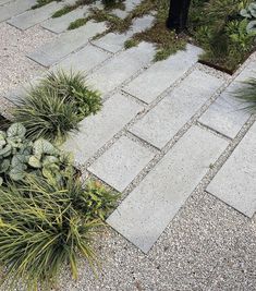 some plants and rocks in the middle of a walkway