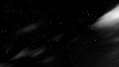 black and white photograph of the night sky with stars in it, as seen from below