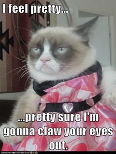 a grumpy cat wearing a pink dress with the caption, i feel pretty pretty