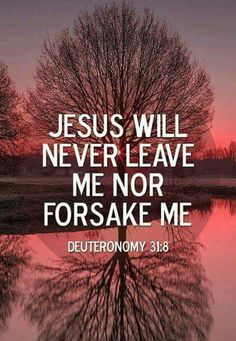 a tree with the words jesus will never leave me nor forsake me on it